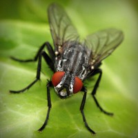 /album/prcfrog/photolia-a01-jpg/