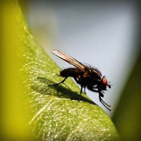 /album/prcfrog/photolia-a04-jpg/