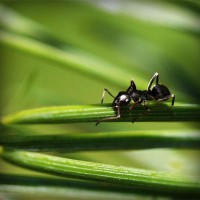 /album/prcfrog/photolia-a05-jpg/