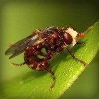 /album/prcfrog/photolia-a06-jpg/